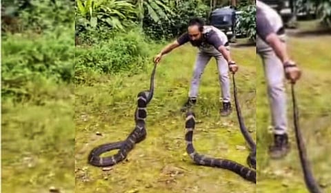 One of the photos found on social media handles of the accused where a rescuer is seen handling two cobras.