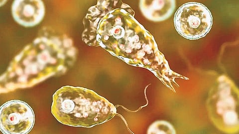 So far, 43 cases have been reported across the state this year. 