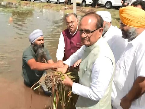 Punjab: Union Minister Shivraj Singh Chouhan visits the flood-affected areas in Amritsar