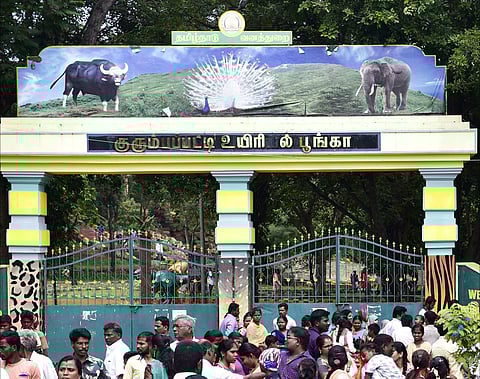 Kurumbapatti zoo