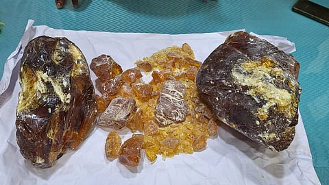Chidambaram police on Friday seized 7.6 kilograms of ambergris worth Rs 7.50 crore and arrested one person in connection with the smuggling.