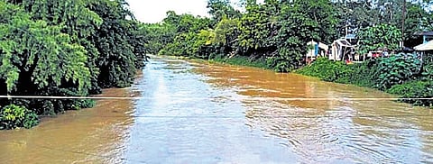 Croplands in 12 panchayats flooded as Jalaka breaches banks in Balasore