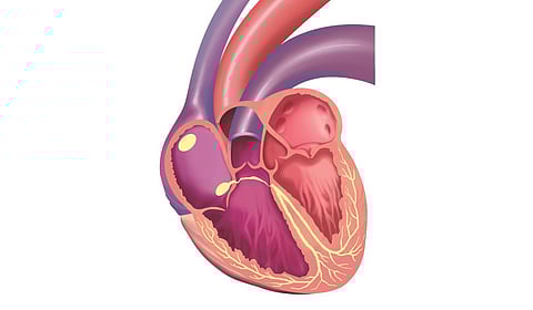 Image used for representational purposes only.