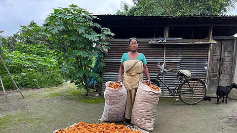 Sericulture mission boosts livelihoods of silkworm rearers in Assam's Bodoland Territorial Region