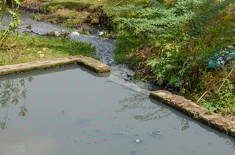 Sewage water from a treatment structure overflows and directly mixes into the Thamirabarani river at Tirunelveli, raising pollution concerns. 
