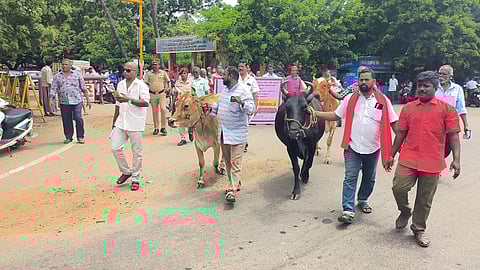 Karaikal veterinary centres run with only one-fifth staff; farmers stage cattle protest