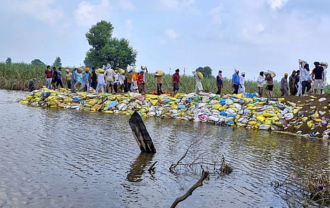 Security personnel and volunteers place sandbags to repair a damaged embankment as a preventive measure against erosion, at a flood-affected village, in Amritsar district, Punjab, Wednesday, Sept. 10, 2025.