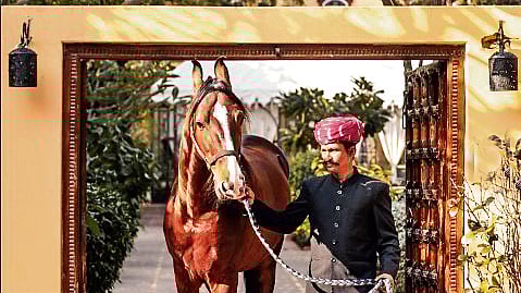 The stay is the trip