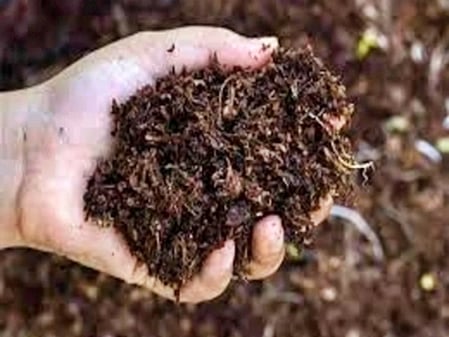 Amid the current situation, they now allege exploitation in purchase of fertilisers which are essential for rabi crops.