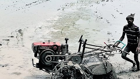 P Venkadachalamurthy, an executive committee member of the farmers’ association, was provided with the reply by TNPGCL under the RTI Act