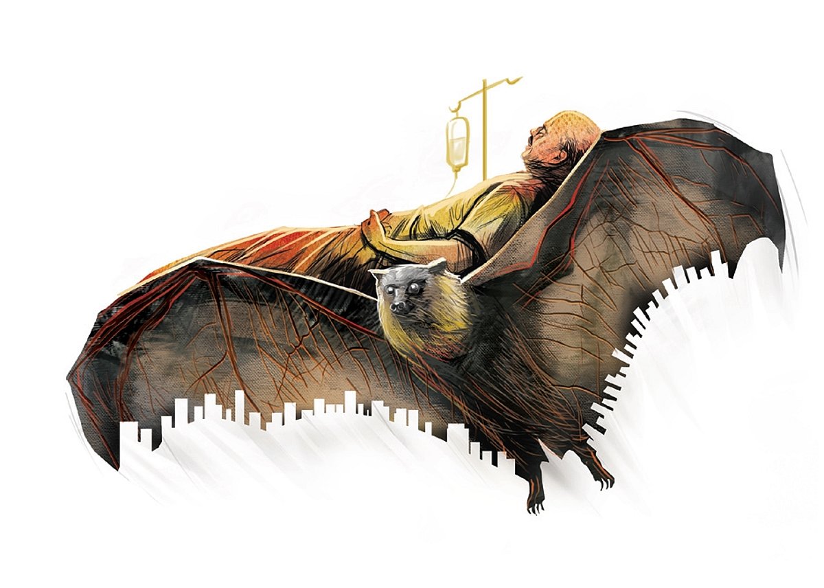 Could a New Antibody Test Uncover Hidden Nipah Virus Pathways?