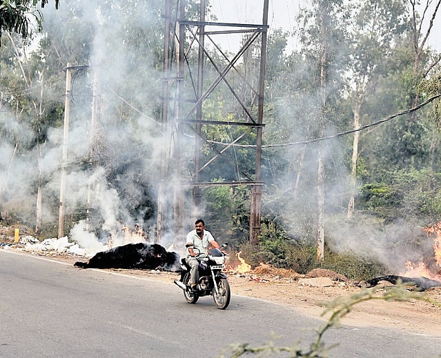 The New Indian Express - Business - News Image