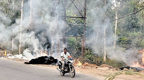 Garbage is set on fire at GT Karrnal Road in Delhi on Thursday evening. 