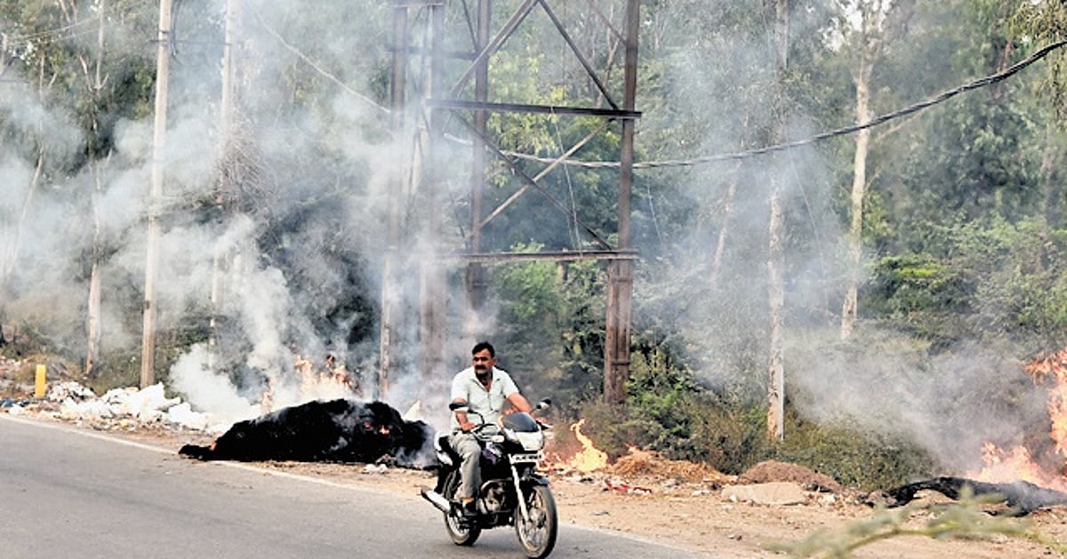 The New Indian Express - Business - News Image