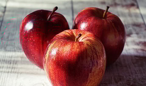 Image used for representation purposes only.