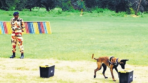 Photo of the training programme at ITBP Academy in Panchkula.