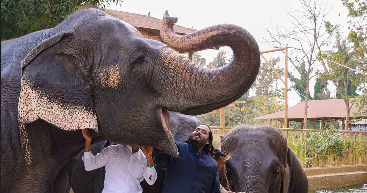 The New Indian Express - Business - News Image