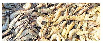 Image used for representation purposes only.