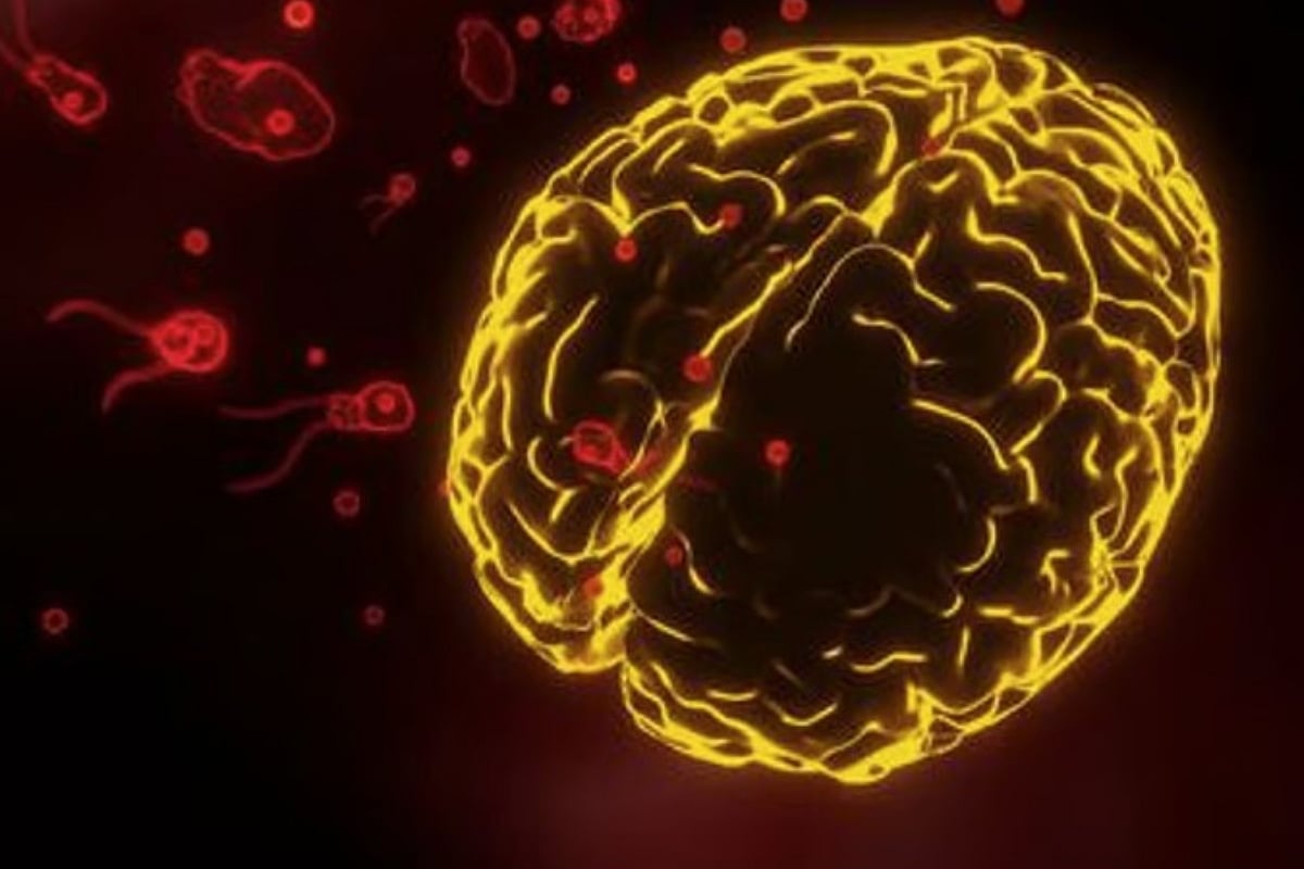 The New Indian Express - Health - News Image