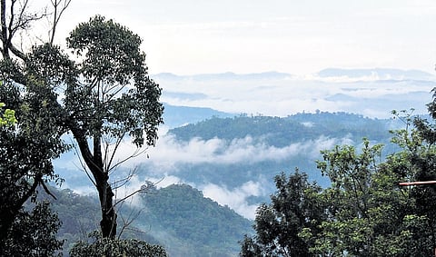 Kerala Wikimedians revive India edition of Wiki Loves Earth