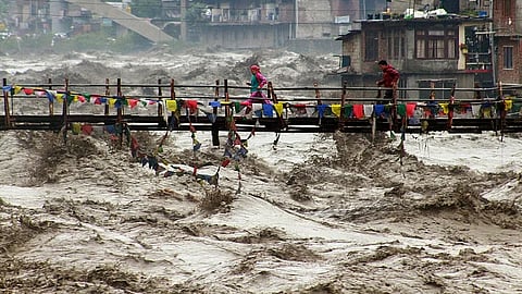 As per Global Forest Watch, Himachal Pradesh, in 2020 had 1.59 Mha of natural forest, extending over 29% of its land area. In 2024, it lost 572 ha of natural forest, equivalent to 181 kt of CO₂ emissions