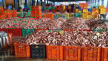 In big push to fisheries sector, India eyes global certification for seafood 