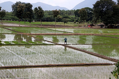 He pointed out that classes for students who joined undergraduate courses for the current academic year have been conducted since September 12.