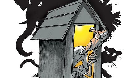 Usually, leopards and sloth bears take shelter in bushes that grow in the surroundings of residential colonies.