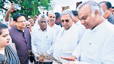 Chief Minister Siddaramaiah inspected the demaged crops at Farthatabad village Near Kalaburagi on Wednesday.