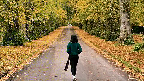 Footnotes for freedom 