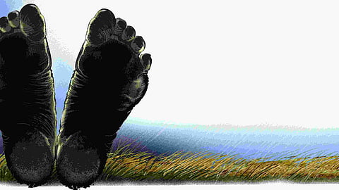 Petition in NHRC after Sohela farmer dies of electrocution in paddy field 