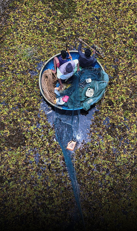 Bengaluru’s vanishing lakes: Fighting pollution, urban decay