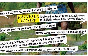 Will assess flood damage to paddy, maize: Govt