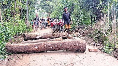 The road blocked by locals with timber logs at Mallichua village in Soro.