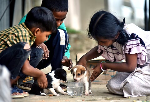 Three children go missing every day in Uttarakhand, raising concerns over child safety