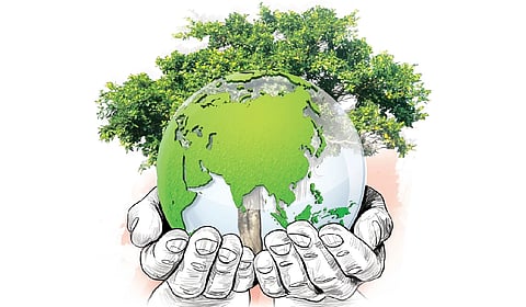 The scheme, aimed at students from Classes 8 to 10, seeks to cultivate discipline, responsibility, and a strong sense of care for nature in youngsters.