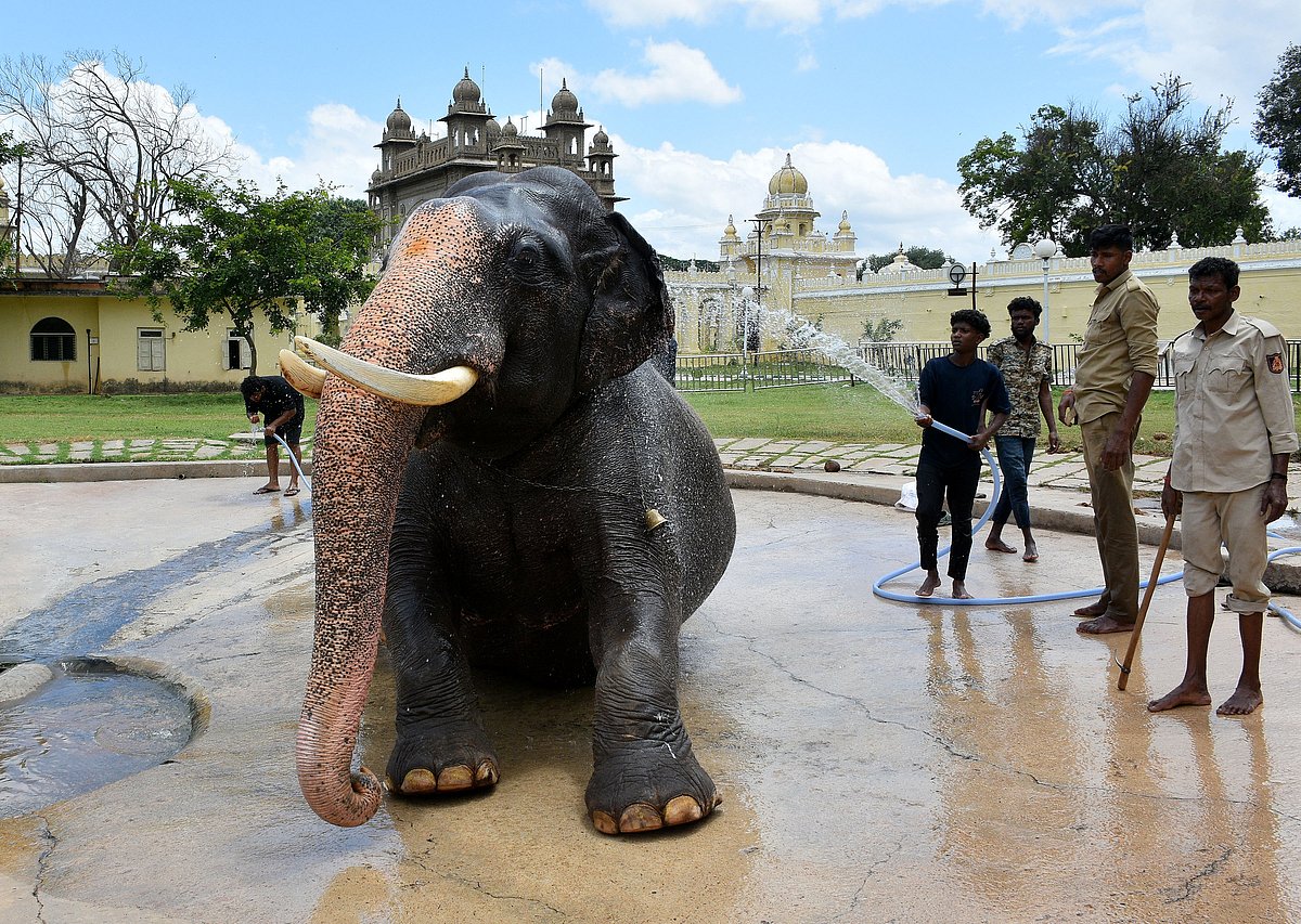 Abtak.com - Other - News Image