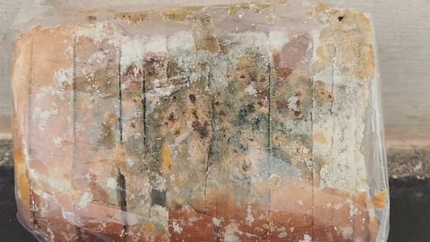 New mother claims moldy bread served to her at Kovilpatti government hospital