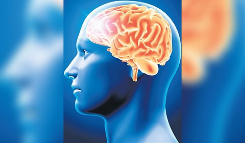 According to the researchers, the results could open up new possibilities for developing diagnostic markers and novel therapeutic targets for schizophrenia.