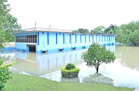 Flooded Manjeera Filter Bed in Peddapur.