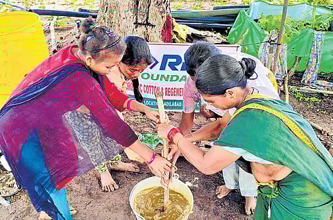 By mixing jaggery and bananas into a nutrient-rich spray, they are discovering that the best way to strengthen their plants and increase yields 