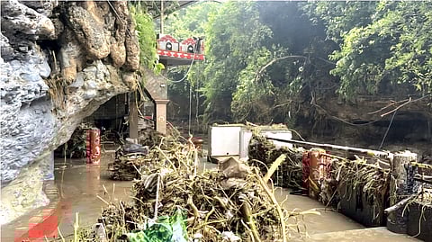 The rains have caused widespread damage to forest ecosystems (Photo | Special arrangement)