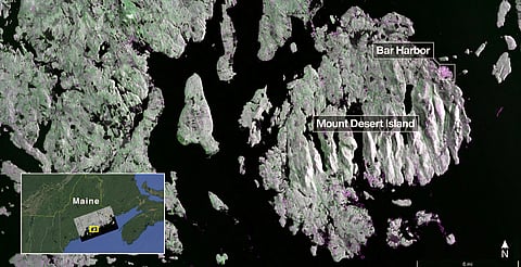Green indicates forest, magenta represents hard-irregular surfaces.