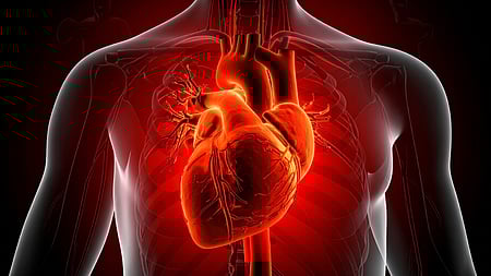 Heart disease affecting people in 30s, 40s, say Bengaluru doctors