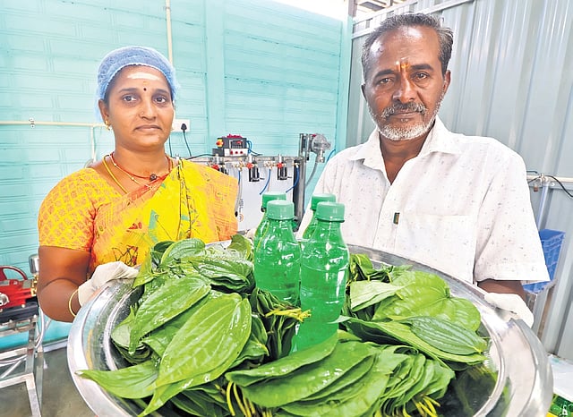 Farm worker in TN's Theni raises toast to food business, brews soda from betel leaf 1
