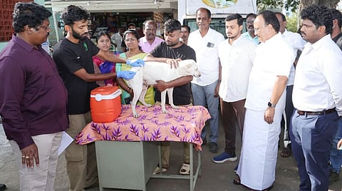 Coimbatore MP, Ganapathi P. Rajkumar along with the district collector, Pavankumar G. Giriyappanavar, CCMC Commissioner, Sivaguru Prabakaran, and other officials kick-started the rabies vaccination for stray dogs in Thudiyalur area in Coimbatore on Friday.