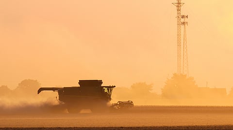'Five-alarm fire for our industry': Trump's trade war with China puts US soybean farmers in peril