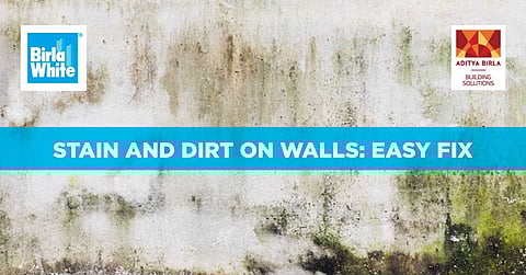How can I easily clean stains and dirt from my walls without damaging the distemper paint on the wall?