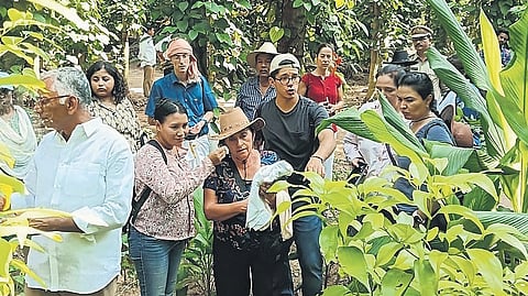 Global delegation to explore Andhra’s natural farming model