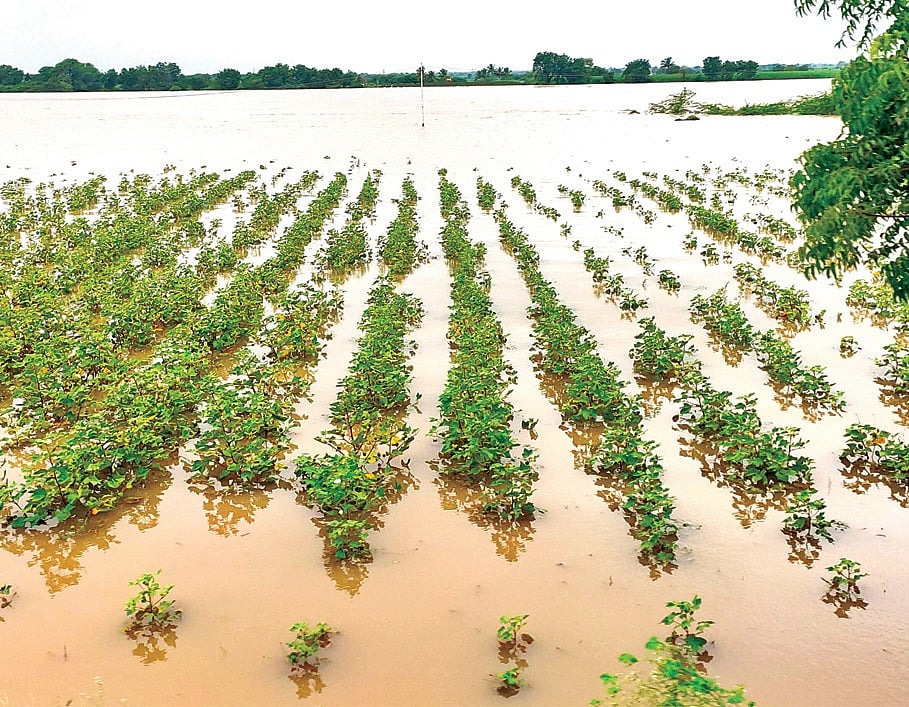 The New Indian Express - Business - News Image